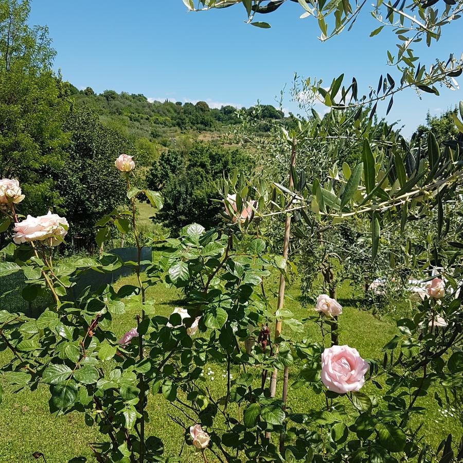 L'Albero Di Gameli Bed & Breakfast Chiusi Luaran gambar