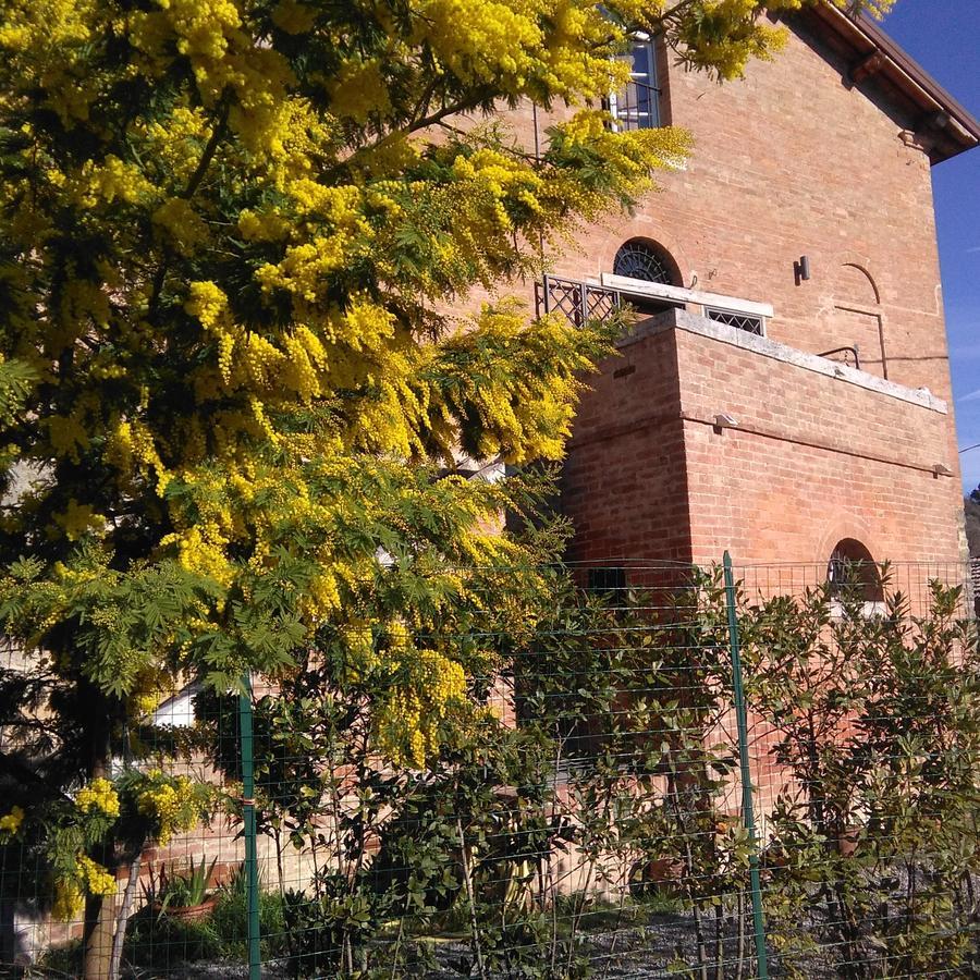 L'Albero Di Gameli Bed & Breakfast Chiusi Luaran gambar