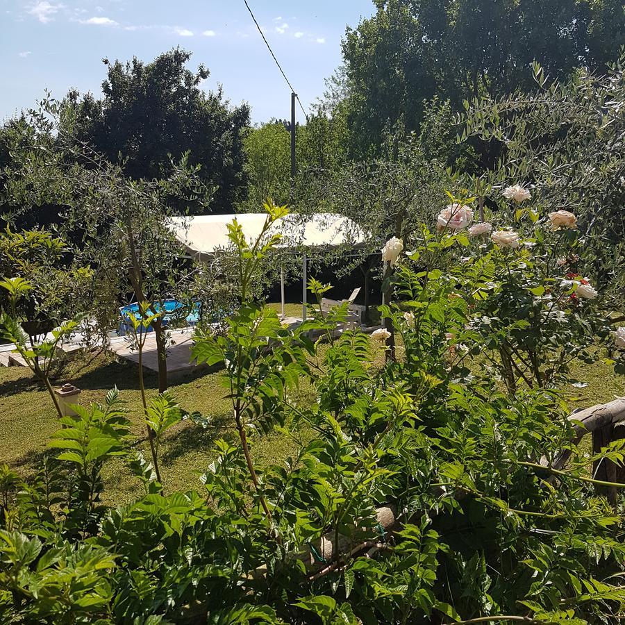 L'Albero Di Gameli Bed & Breakfast Chiusi Luaran gambar
