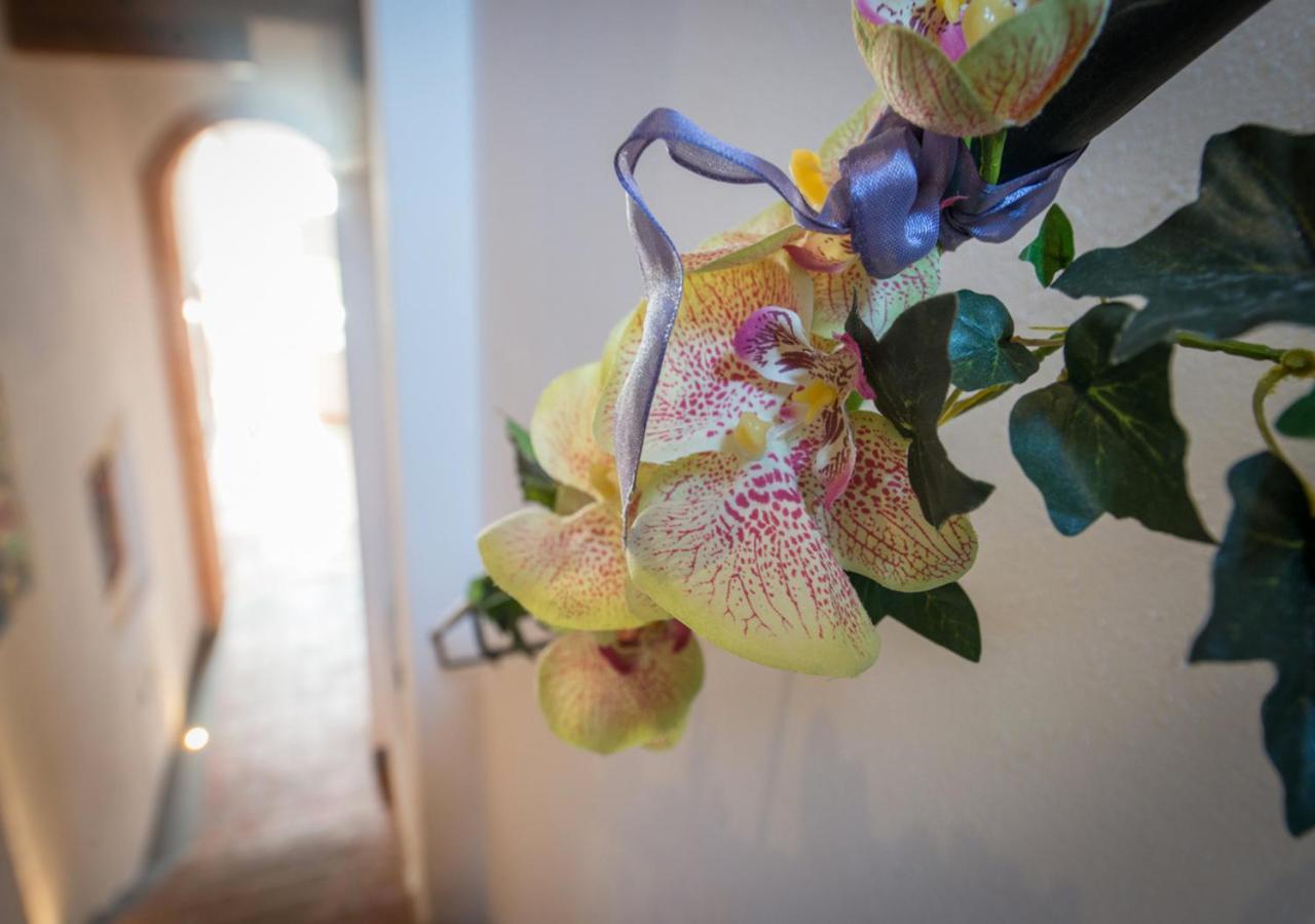 L'Albero Di Gameli Bed & Breakfast Chiusi Luaran gambar